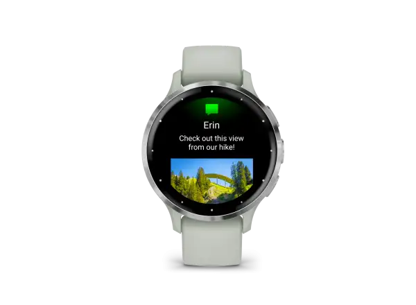 Garmin Venu 3S smart hodinky Silver/Sage Grey