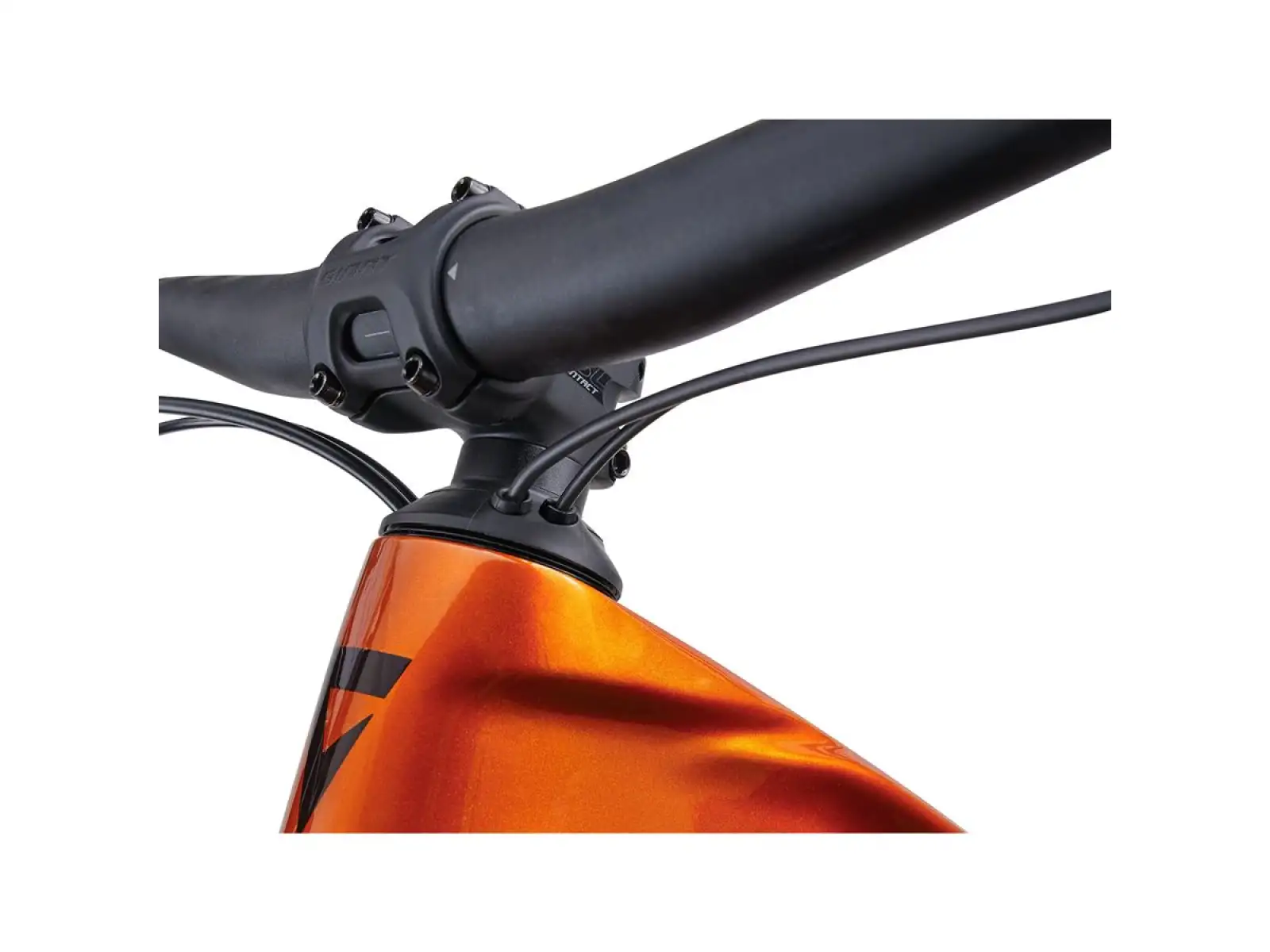 Giant Trance X Advanced E+ EL 2 horský elektrobicykel Amber Glow / Cordovan