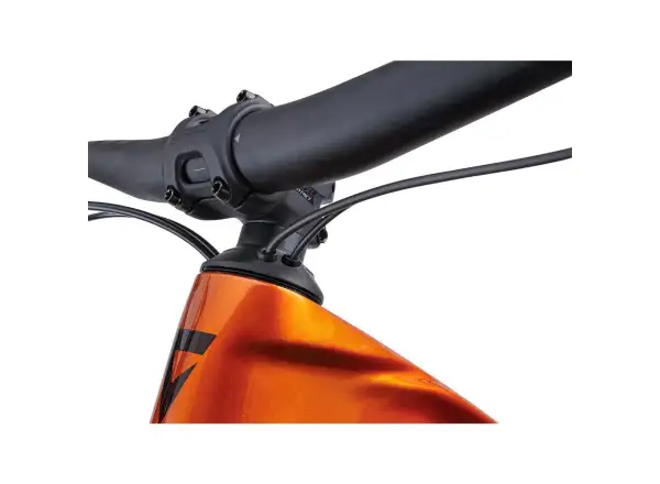 Giant Trance X Advanced E+ EL 2 horský elektrobicykel Amber Glow / Cordovan