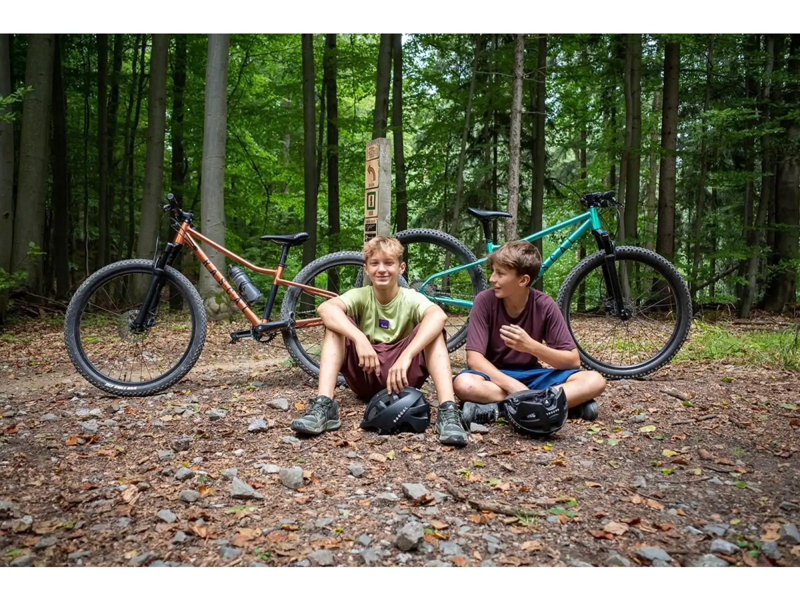 Rascal Wild 29 detský bicykel Bronze