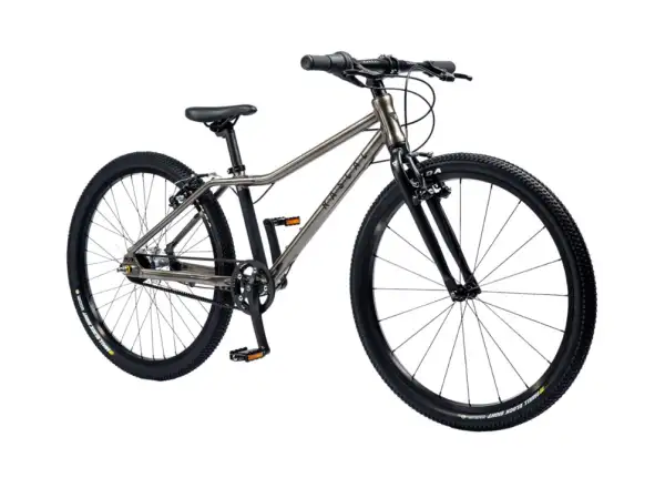 Rascal 24 Titan 3 sp. Shimano Nexus detský bicykel