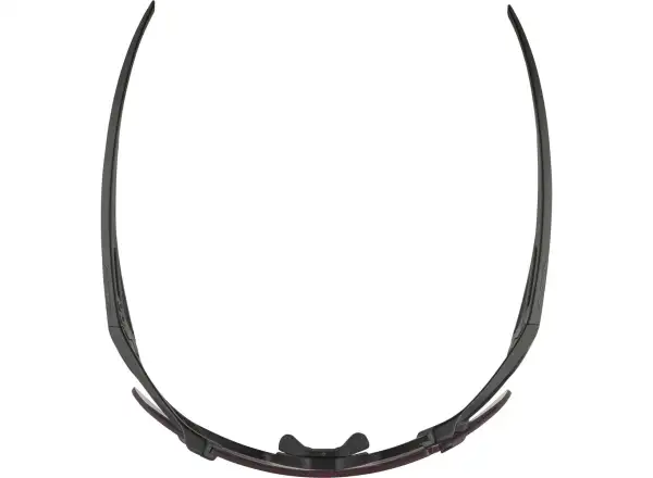 Alpina Hawkeye S Q-Lite V okuliare Black Matt