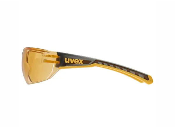 Uvex Equate okuliare Smoke/Orange