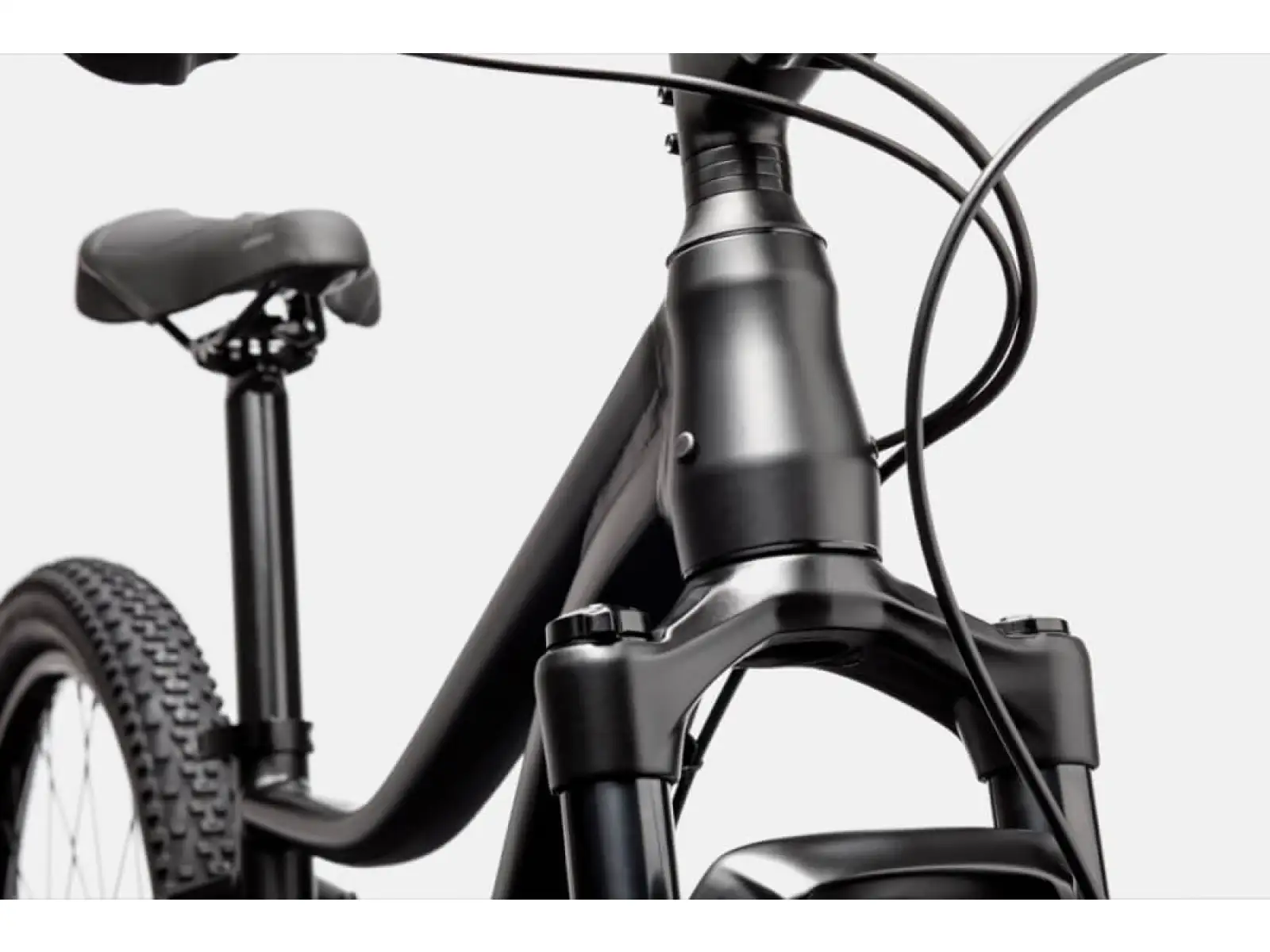 Dámsky horský bicykel Cannondale Trail 6 29" LYW