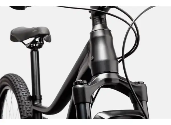 Dámsky horský bicykel Cannondale Trail 6 29" LYW