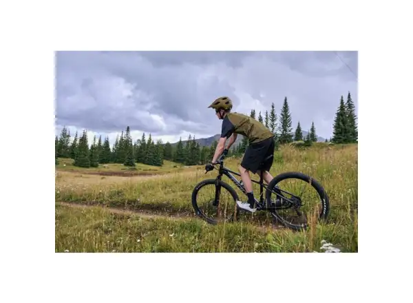 Giant Talon 29 3 horský bicykel Frost Silver