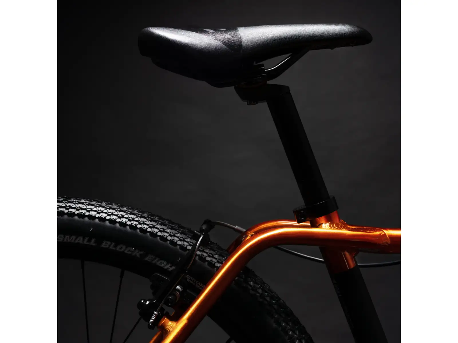 Rascal 26 Flame 5 sp. Sturmey Archer detský bicykel