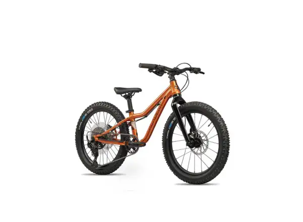 Academy S-Grade Trail 4 R detský bicykel 20" oranžová