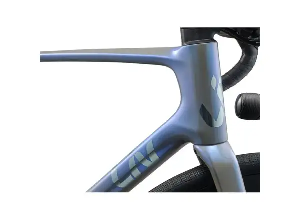 Liv Avail Advanced 2 cestný bicykel Moonstone/Gray