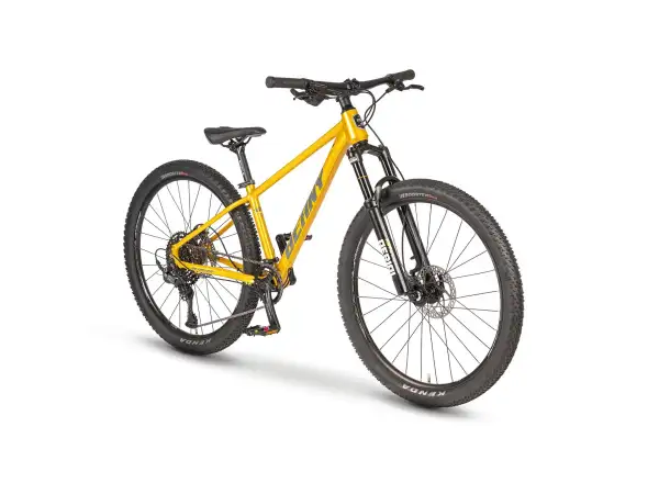 Beany Blaster 26 detský bicykel Gold