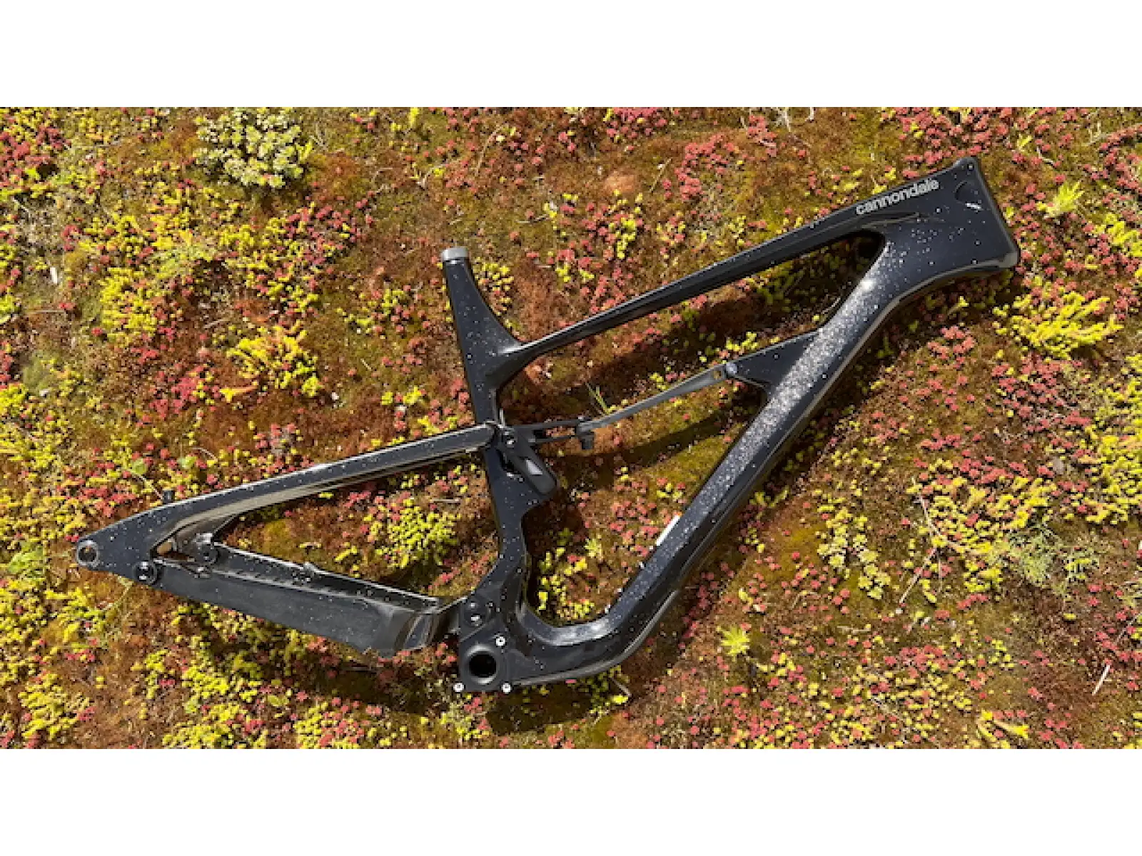 Cannondale Habit Carbon 29" MTB rám GDT
