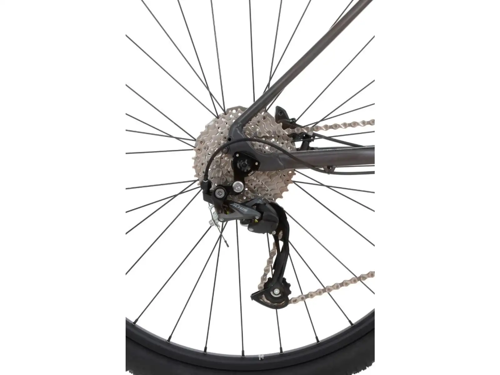 Rock Machine Catherine 20-29 mat anthracite grey/mint green/grey horský bicykel