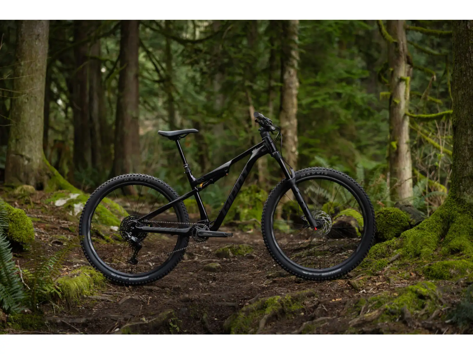Giant Stance 2026 horský bicykel Black