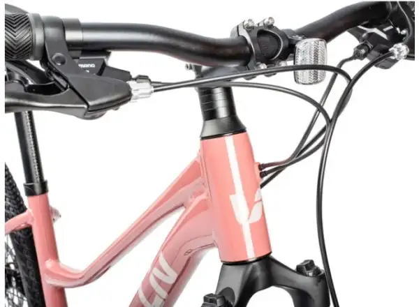 Liv Rove 4 DD trekingový bicykel terra roza
