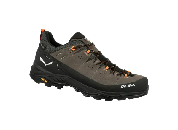 Salewa Alp Trainer 2 GTX pánske topánky Bungee Cord/Black