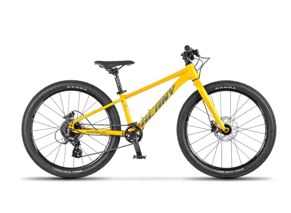 Beany Blaster XC 20 detský bicykel Gold
