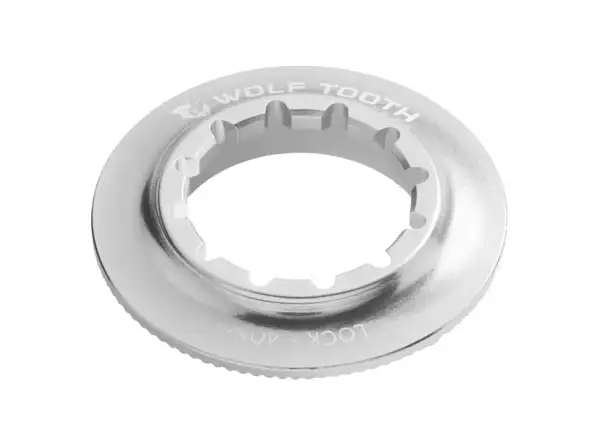 Wolf Tooth matica Centerlock Rotor Internal Spline raw strieborná