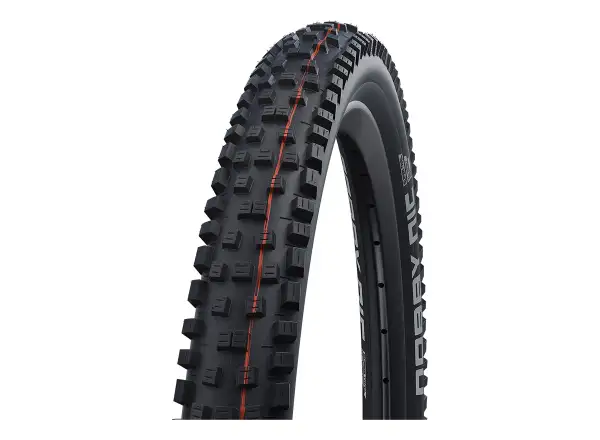 Schwalbe Nobby Nic Evolution Super Ground TLE E-50 Addix Soft 29x2,40" MTB plášť kevlar čierny