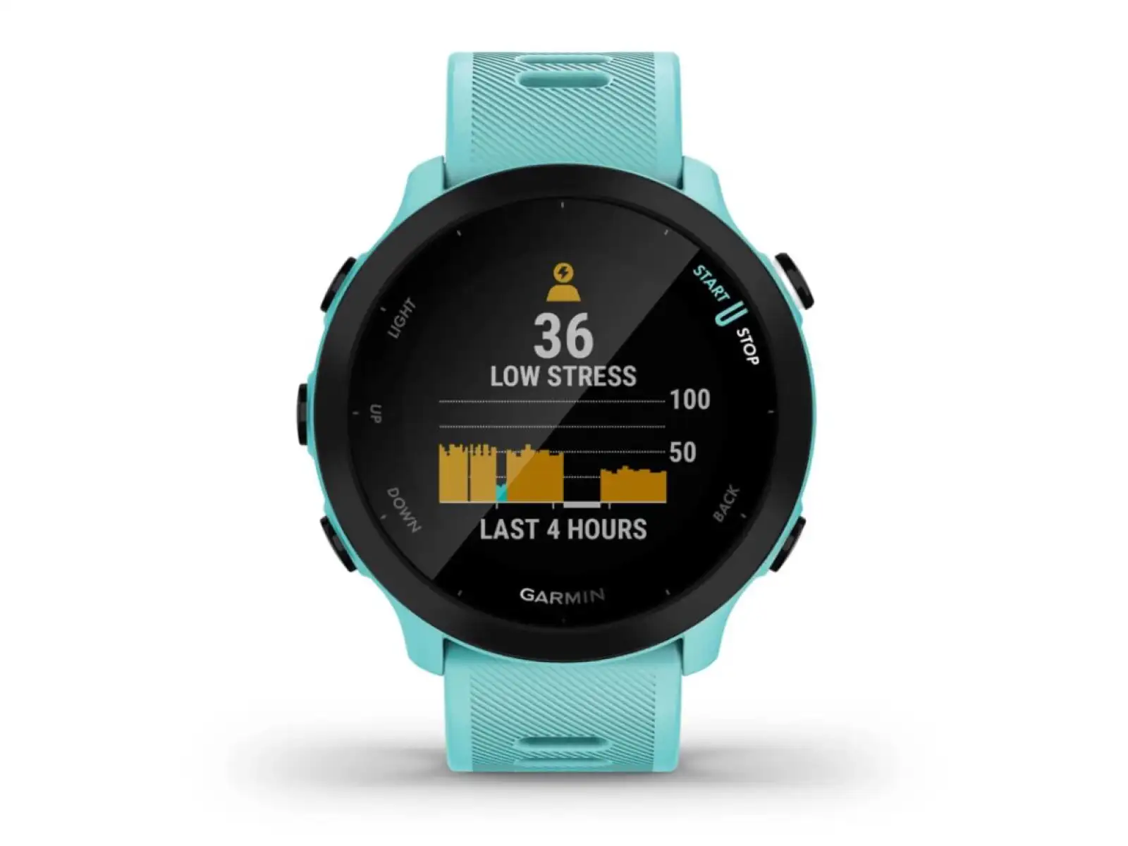 Garmin Forerunner 55 smart hodinky Aqua