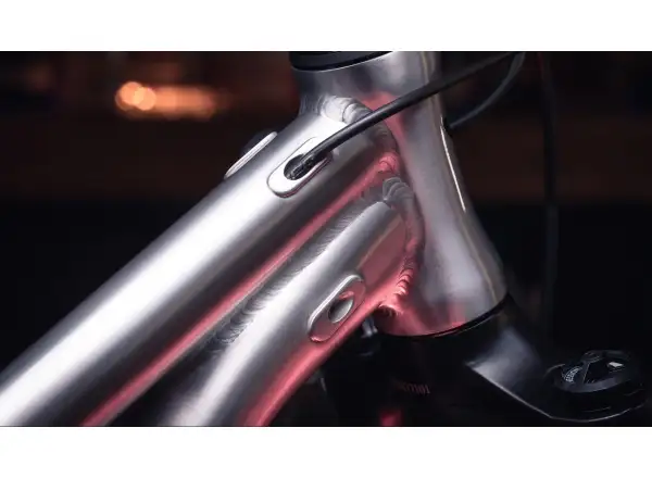 Early Rider Hellion 20 detský bicykel Brushed Aluminium