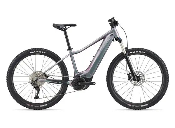Liv Vall-E+ 2 29 Echeveria 2022 dámsky horský bicykel