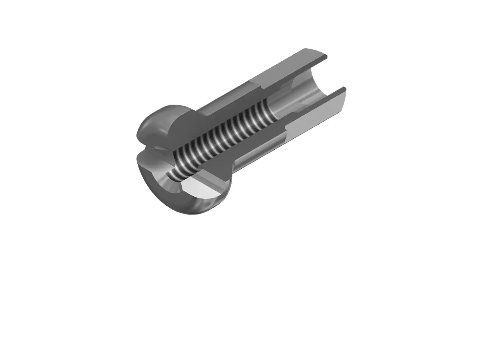 DT Swiss Pro Lock Alu nipel 2,0x12mm strieborný