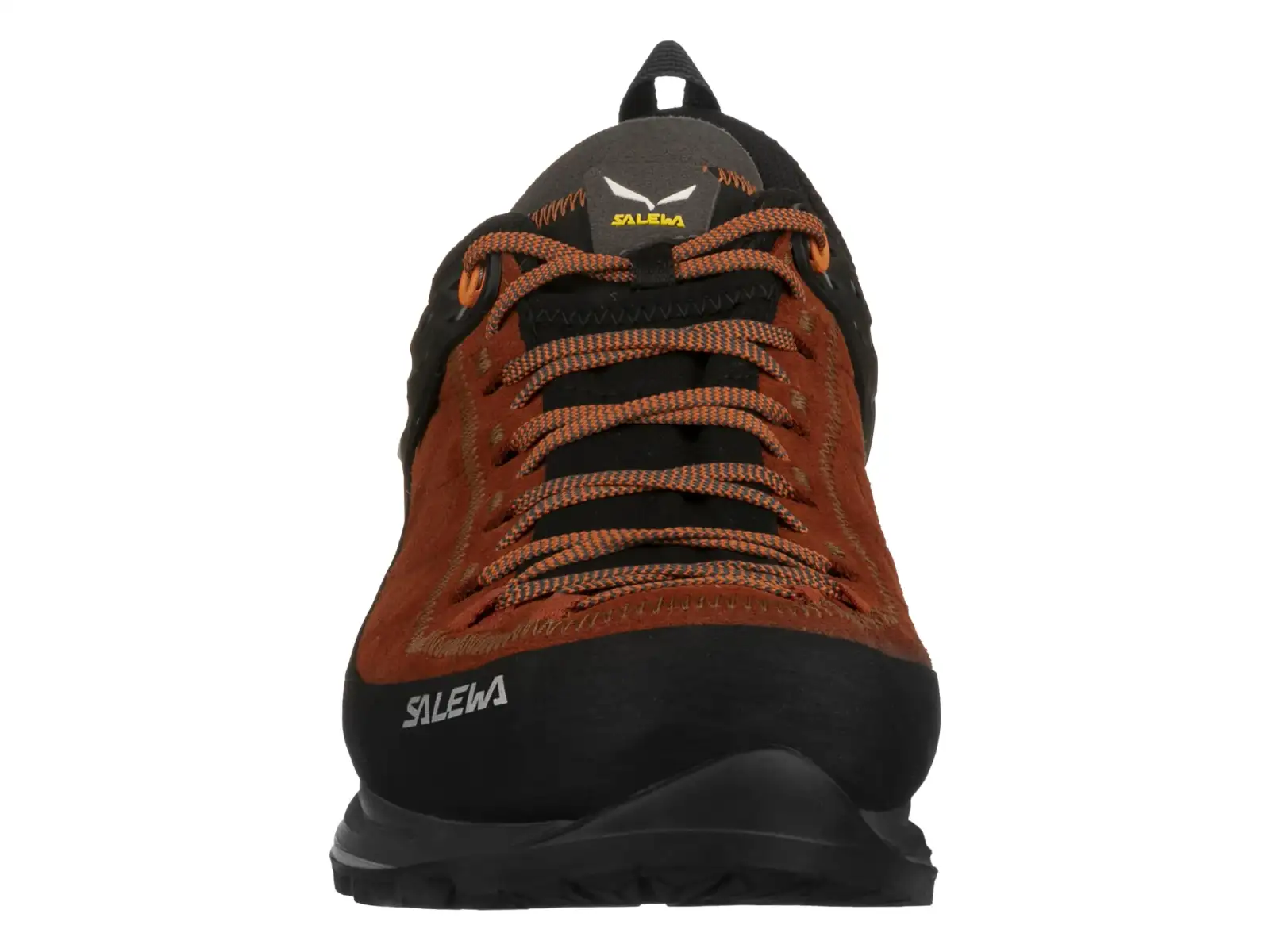 Salewa MTN Trainer 2 GTX MS pánske trekové topánky