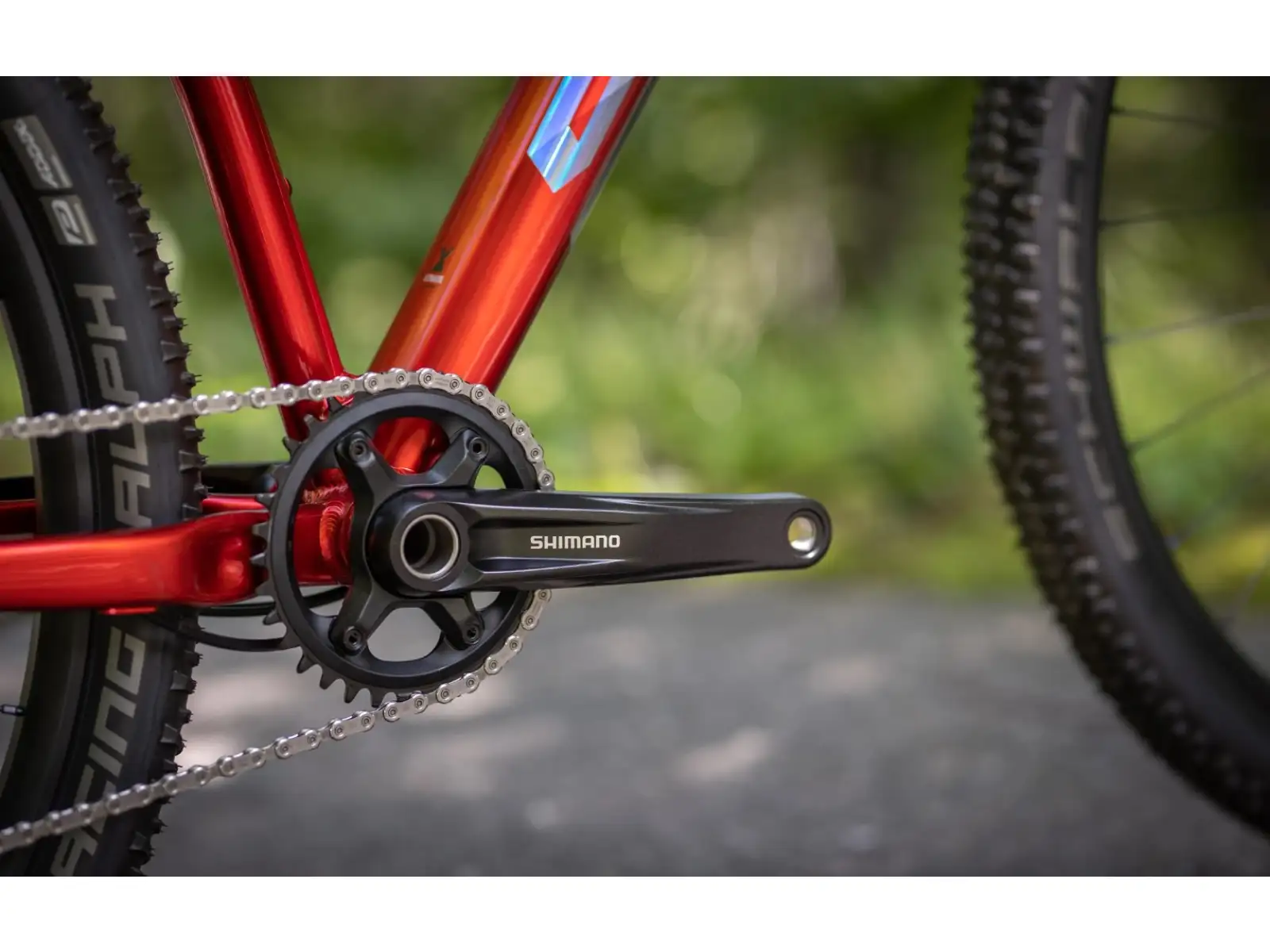 Horský bicykel Superior XP 919 Gloss Dark Red/Hologram Chrome