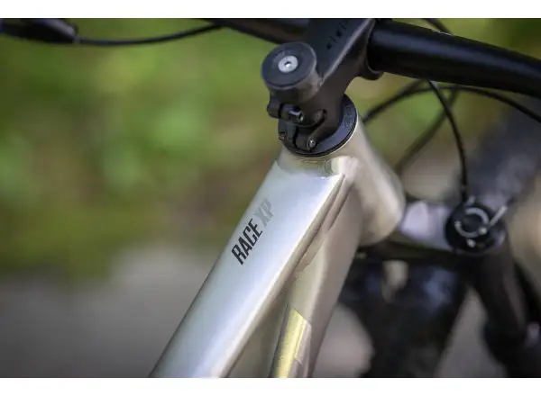 Superior Race XP 939 Mountain Bike Brushed Alu/Hologram Chrome