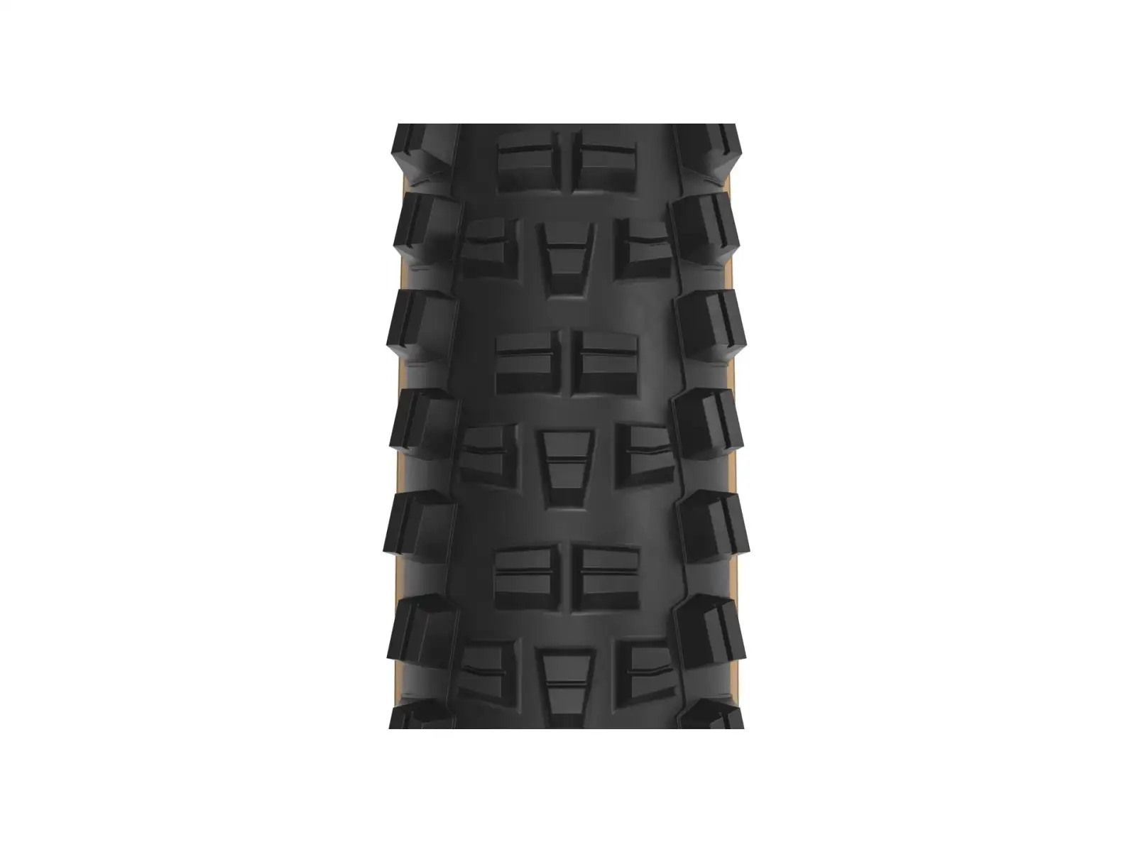 WTB Trail Boss TCS Light Fast Rollung Tubeless SG2 29x2,25" plášť čierna / hnedá kevlar
