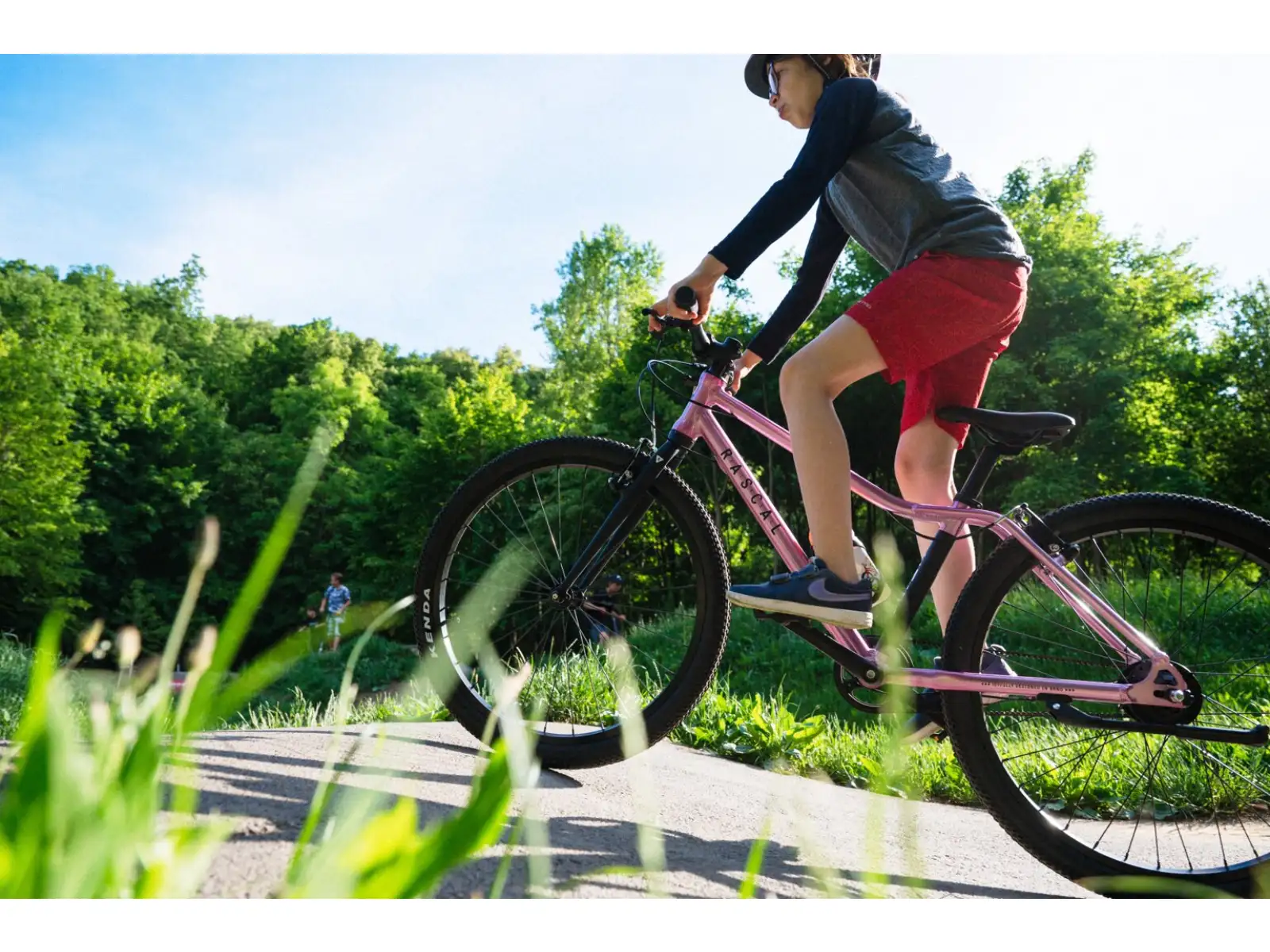 Rascal 24 7 sp. Shimano Nexus detský bicykel Raspberry