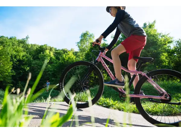 Rascal 24 7 sp. Shimano Nexus detský bicykel Raspberry