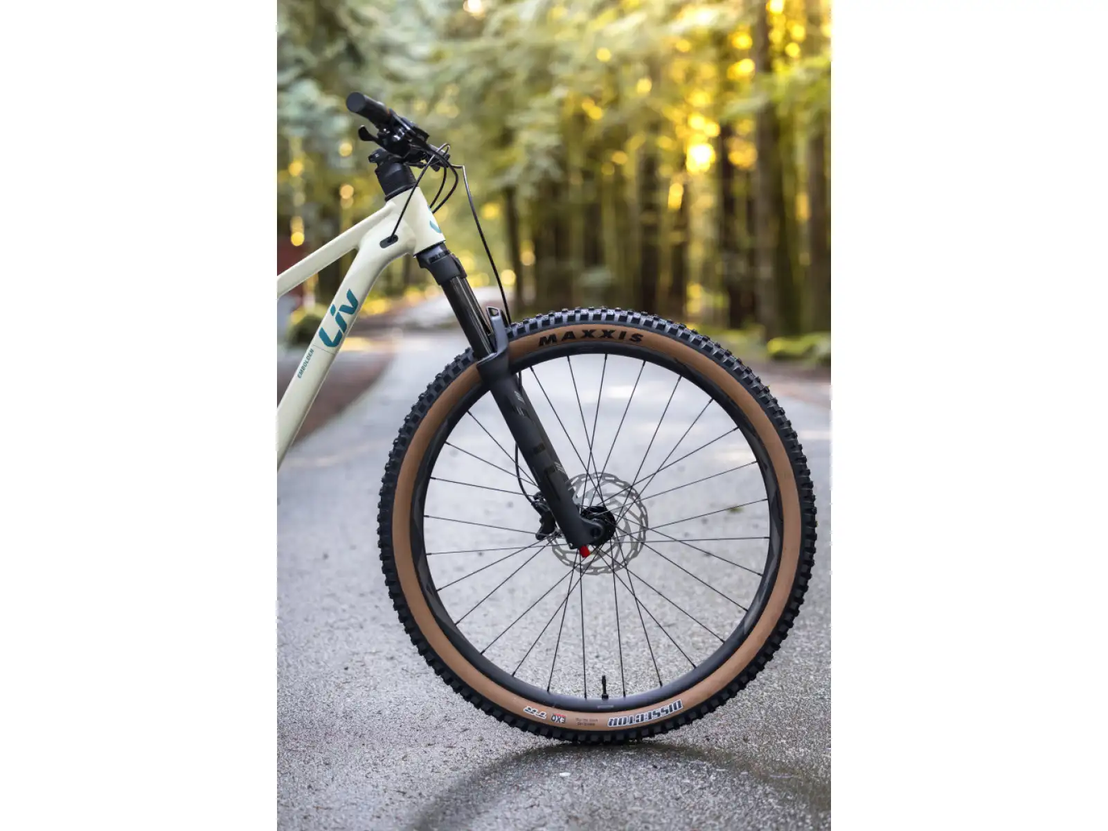 Liv Embolden 2026 horský bicykel Pale Moss