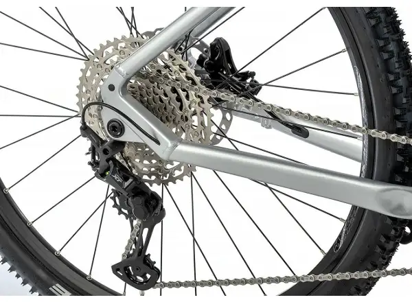 Apache Hupahu 1 750 Wh horský elektrobicykel strieborná