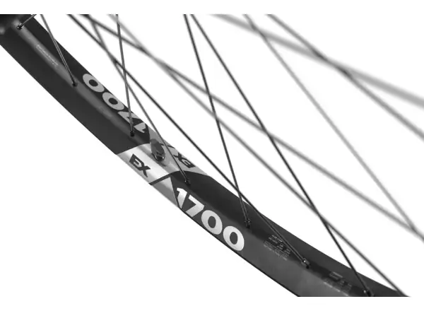 DT Swiss EX 1700 Spline Boost 29" vypletené kolesá