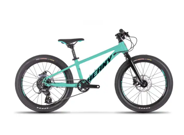 Beany Blaster XC 20 detský bicykel Mint