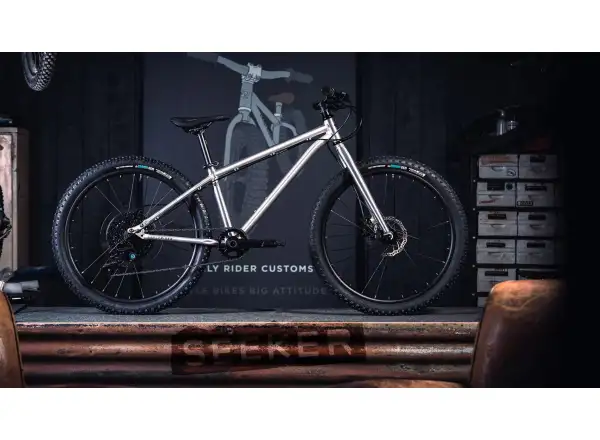 Early Rider Seeker 24 detský bicykel Brushed Aluminium