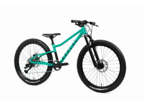 Rascal Wild 24 detský bicykel Emerald