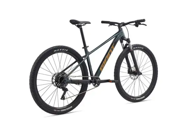 Giant Talon 29 2 horský bicykel Asphalt Green