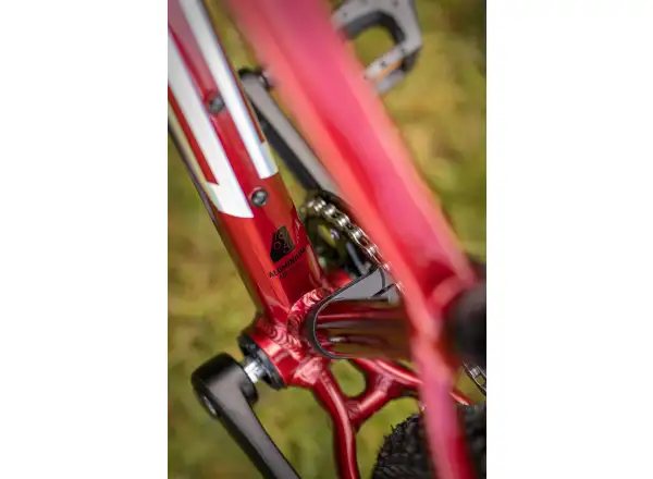 Superior Team 24 detský horský bicykel Gloss Dark Red