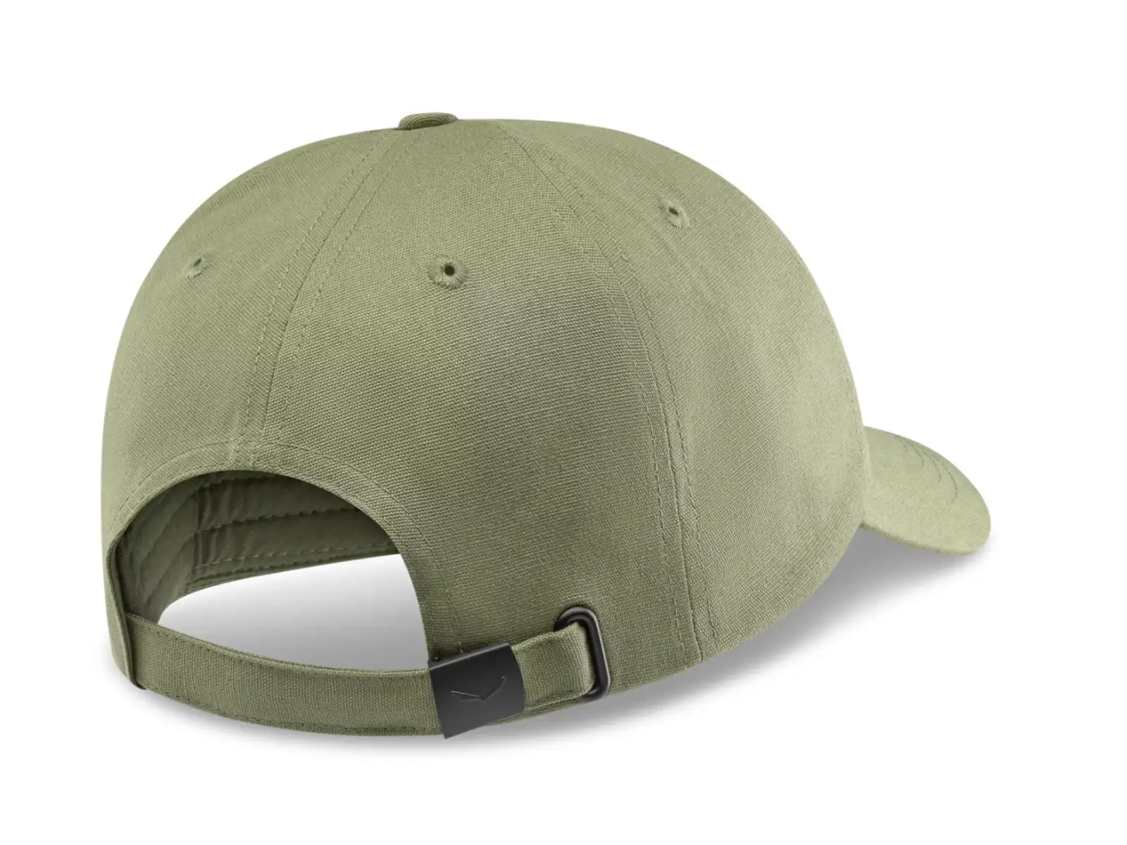 Salewa Graphic šiltovka Faded Green