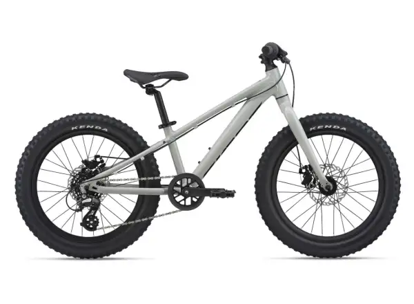 Giant STP 20 detský bicykel Concrete
