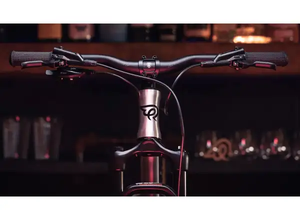 Early Rider Hellion 20 detský bicykel Brushed Aluminium