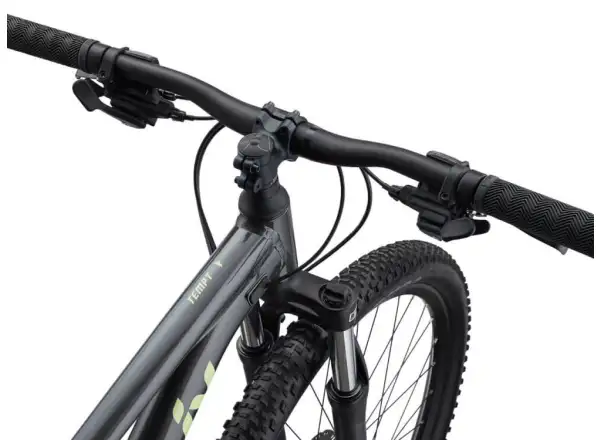 Liv Tempt 29 4 horský bicykel Black Chrome