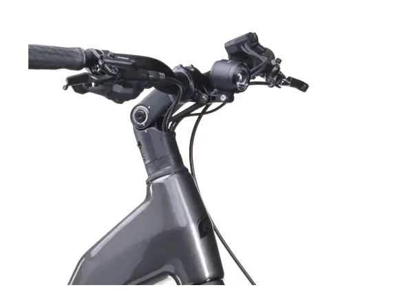 Crussis ONE-Country AX 8.12-M2(600) mestský elektrobicykel