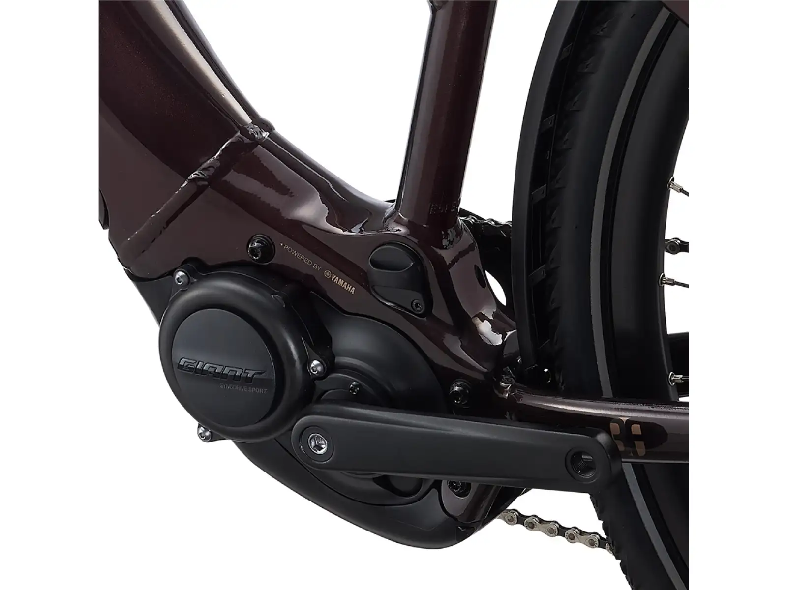 Trekingový elektrobicykel Liv Amiti E+2 rosewood