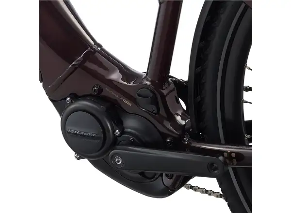 Trekingový elektrobicykel Liv Amiti E+2 rosewood