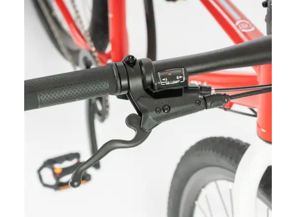 Beany Zero 29 detský bicykel Red
