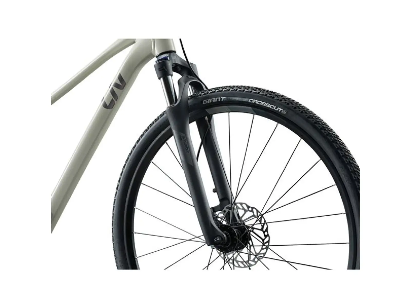 Giant Rove 3 trekingový bicykel Pulp Gray