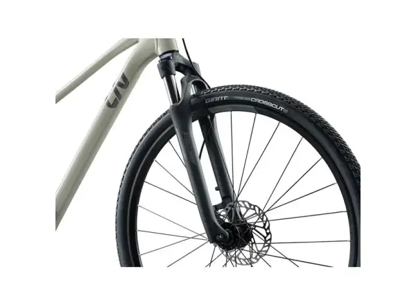 Giant Rove 3 trekingový bicykel Pulp Gray